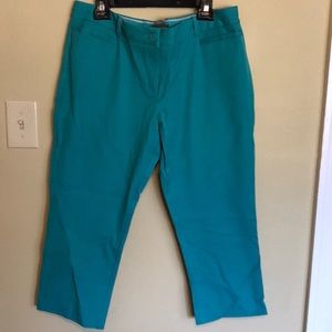 Never worn The Limited Crop  Pants